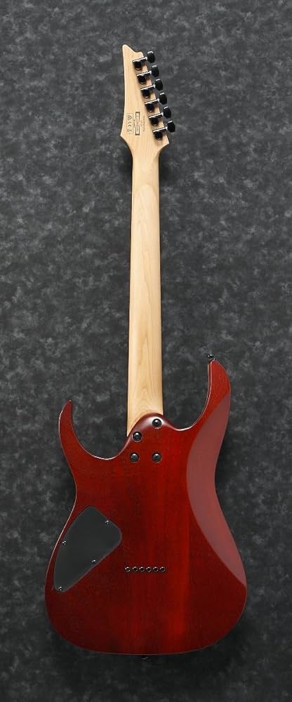 アイバニーズ Ibanez / RGEW521FM Natural Flat Ibanez Exotic RGEW521FM - Natural Flat | Sweetwater